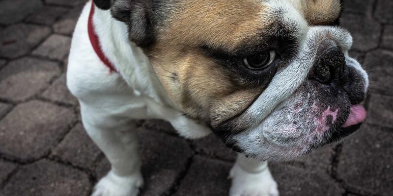 江西建工:以工程总承包为引擎,探索乡村振兴背景下的“设计-建造”一体化新模式